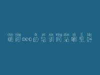 朝阳seo的培训网站哪里好 小网站的优化