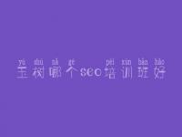 玉树哪个seo培训班好_网站建设免费