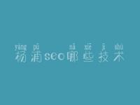 杨浦seo哪些技术，网站优化注意