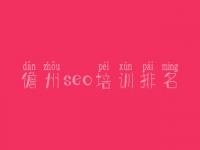 儋州seo培训排名，网站建设情况