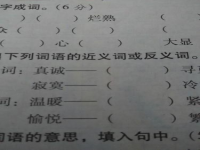 顿时的近义词(激动的近义词)