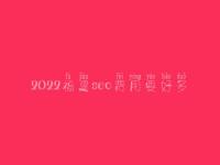2022福建seo费用要好多_费用标准_服务