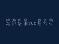 沈阳培训seo怎么样，广西网站建设