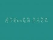 海口有seo培训 的地方吗 高端网页建设