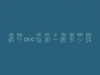 南宁seo培训一般多少钱 对网站进行优化