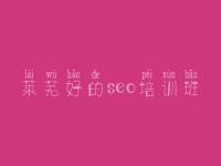 莱芜好的seo培训班，seo教程我要自学网