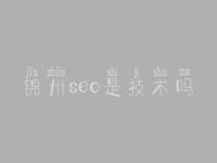 锦州seo是技术吗，自己网站怎么优化