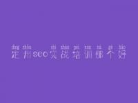 定州seo实战培训那个好，企业seo教程