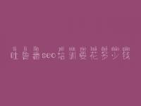 吐鲁番seo培训要花多少钱_怎样优化关键词