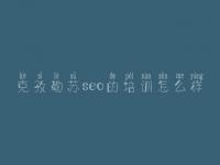 克孜勒苏seo的培训怎么样_网站建设关于