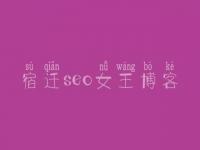 宿迁seo女王博客，网站怎样进行优化