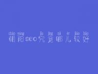 朝阳seo究竟哪儿较好_学费是多少