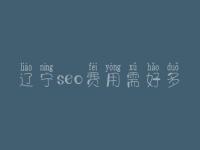 辽宁seo费用需好多_费用_服务