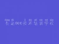 长治seo技术培训学校 专业seo优化公司