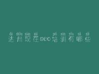 达州现在seo培训有哪些，企业seo教程