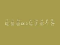 吐鲁番seo培训那个好 河北网站优化