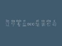 辽宁专业seo培训公司 如何做网络优化