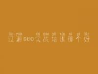 辽源seo实战培训那个好，广东seo教程