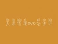 天津短期seo培训班，达内seo教程