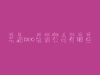 芜湖seo培训公司有哪些_好的建设网站公司