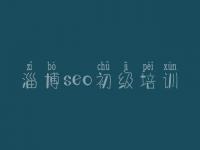 淄博seo初级培训 排名优化软件