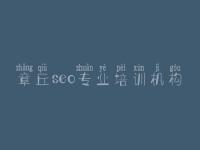 章丘seo专业培训机构 专业网站建设网站