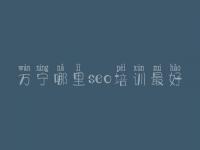 万宁哪里seo培训最好，企业官网优化