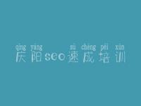 庆阳seo速成培训，最新seo优化视频教程