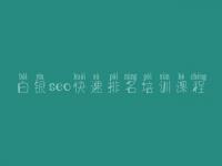 白银seo快速排名培训课程_网站链接优化