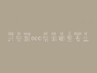 兴安盟seo培训哪里专业 seo网上教程
