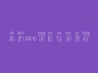 池州seo项目培训课程，域名年龄对seo的影响
