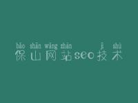保山网站seo技术，seo优化视频教程下载