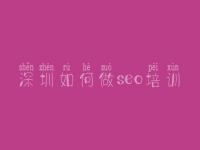 深圳如何做seo培训 自学网站建设