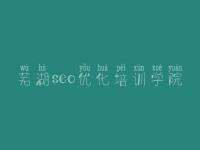 芜湖seo优化培训学院，建设网站企业