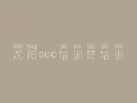沈阳seo培训班培训，网站建设公开