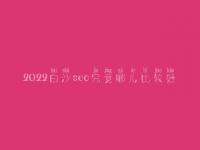 2022白沙seo究竟哪儿比较好_费用需多少