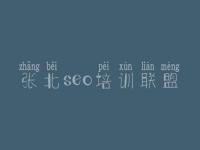 张北seo培训联盟 如何给公司网站优化