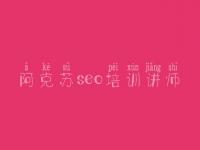 阿克苏seo培训讲师，本网站建设