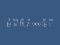 吕梁焦大seo培训，网站内容页优化