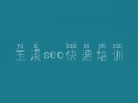 玉溪seo快速培训 广网站建设