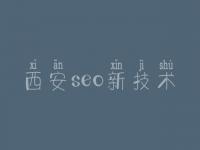 西安seo新技术_网站优化推广seo