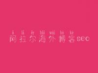 阿拉尔海外博客seo，首页排名优化