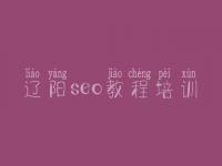 辽阳seo教程培训，seo搜索教程