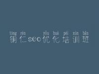 铜仁seo优化培训班_seo案例视频教程