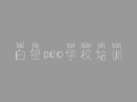 白银seo学校培训，资深seo顾问