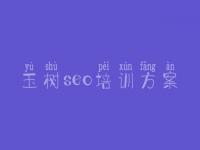 玉树seo培训方案，网站优化需求