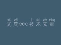 武威seo技术文章，优化网站教程