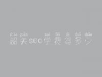 韶关seo学费得多少_服务究竟怎样
