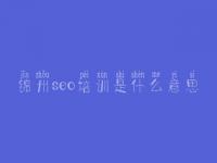 锦州seo培训是什么意思_免费优化推广网站的软件