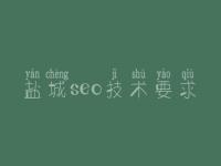 盐城seo技术要求 seo网站优化视频教程